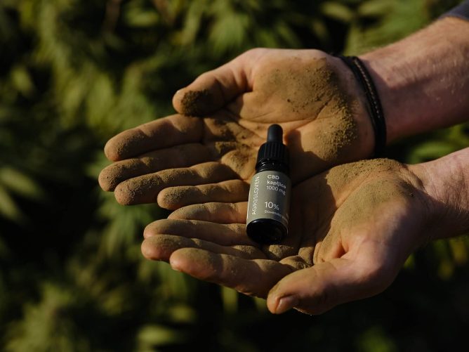 CBD, stres in posledična nespečnost