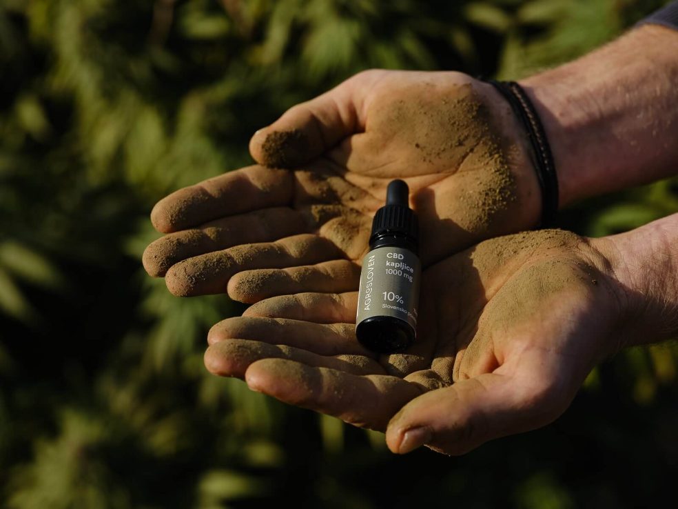 CBD, stres in posledična nespečnost