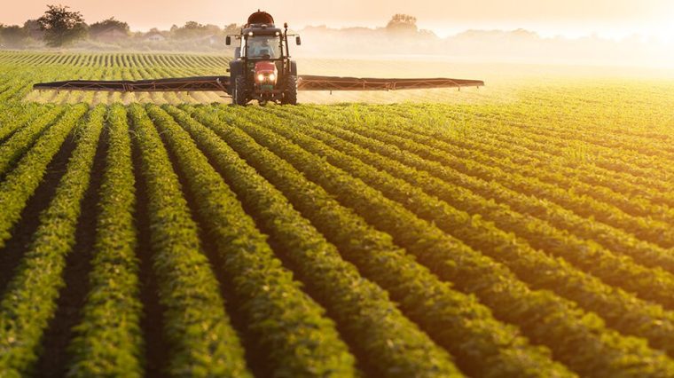 Sadje in zelenjava: Vitamini, minerali in pesticidi