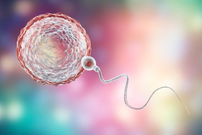 Zdravljenje neplodnosti v času epidemije