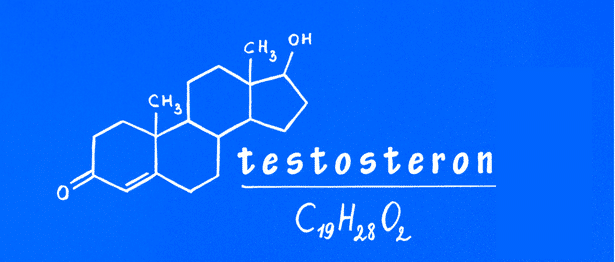 kaj je testosteron, upad testosterona, moški spolni hormon, testeron