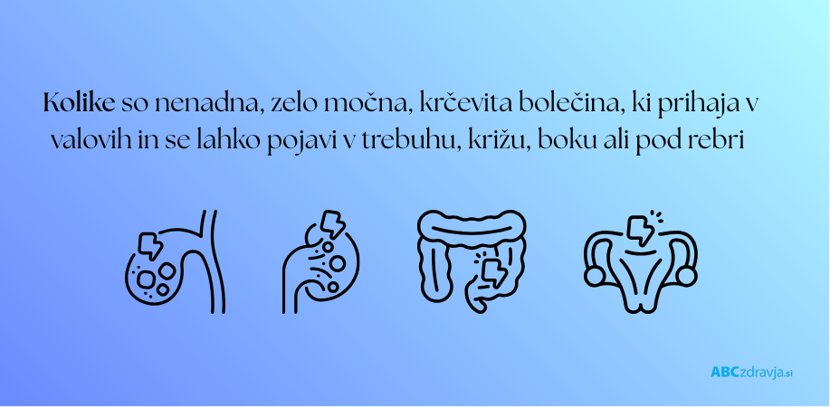 infografika: kaj so kolike, žolčna kolika bolečina, huda bolečina pod desnimi rebri, žolčni kamni simptomi, bolečina desno zgoraj v trebuhu, slabost po mastni hrani, bolečina v desni rami, bruhanje pri žolčnih kolikah, ledvična kolika bolečina, huda bolečina v križu, bolečina v boku in dimljah, ledvični kamni simptomi, kri v urinu bolečina, siljenje na vodo bolečina, neznosna bolečina v spodnjem delu hrbta, Kolike so nenadna, zelo močna, krčevita bolečina, ki prihaja v valovih in se lahko pojavi v trebuhu, križu, boku ali pod rebri